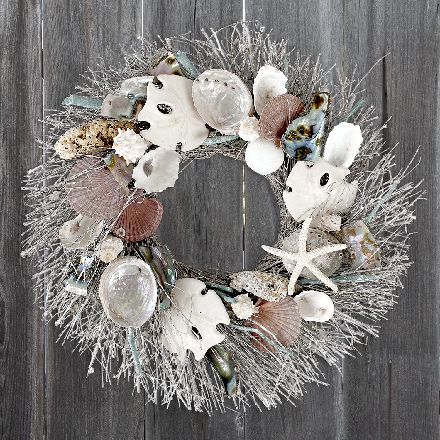 Sand Dollar & Abalone 19in Wreath