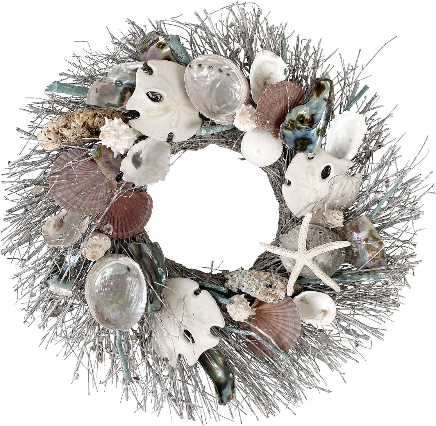 Sand Dollar & Abalone 19in Wreath
