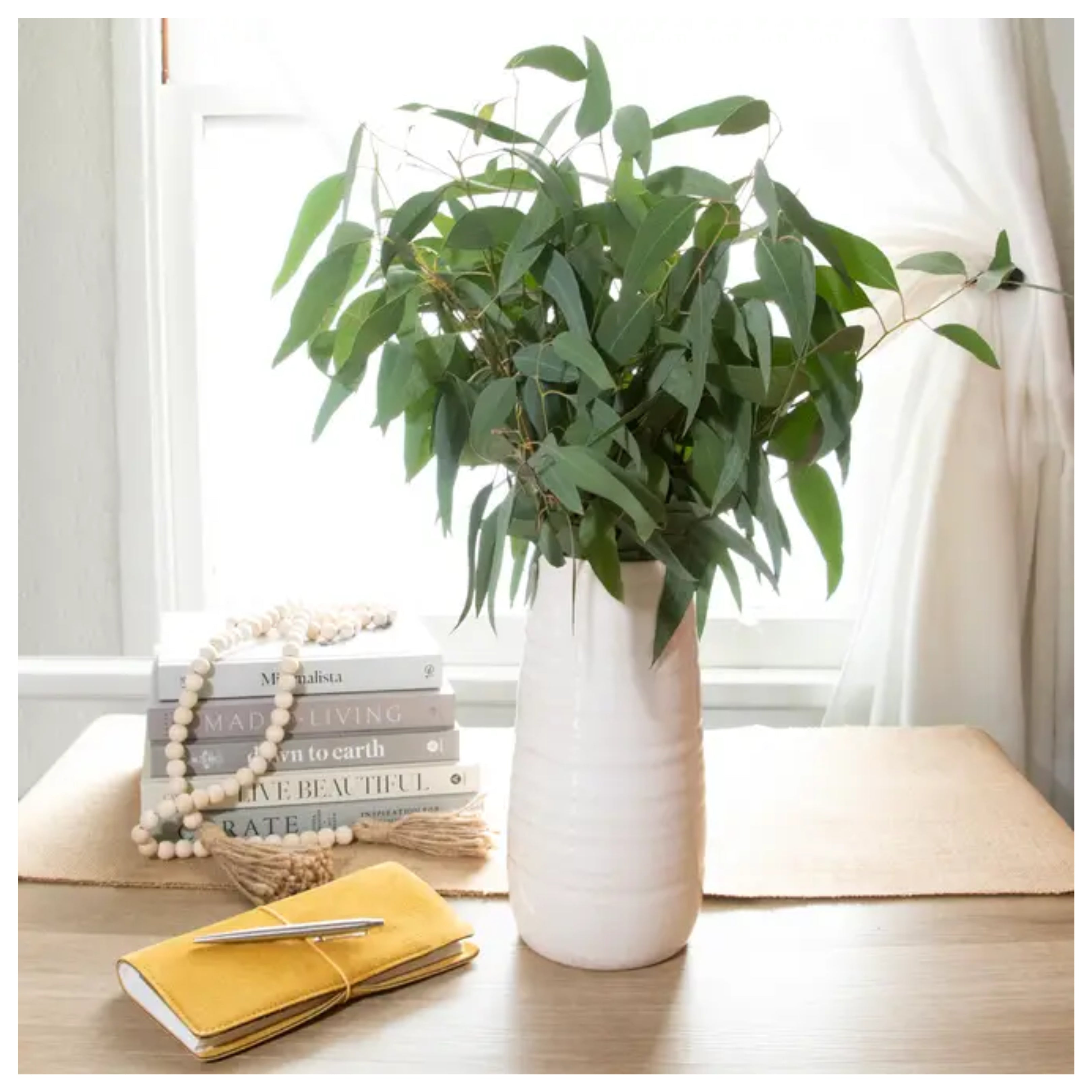 Fresh Willow Eucalyptus Bunch 12 Stems
