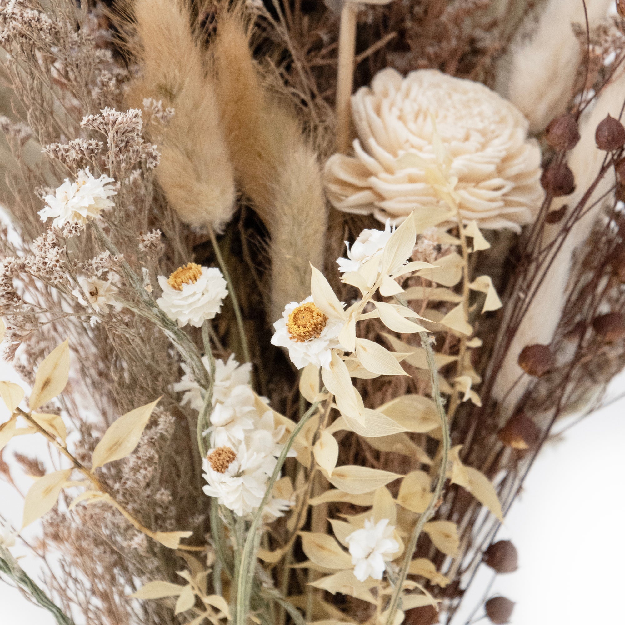 mixed white and tan dried floral bouquet against white background