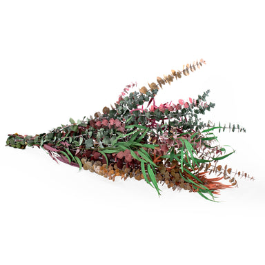 multi colored preserved eucalyptus bundle against white backdrop