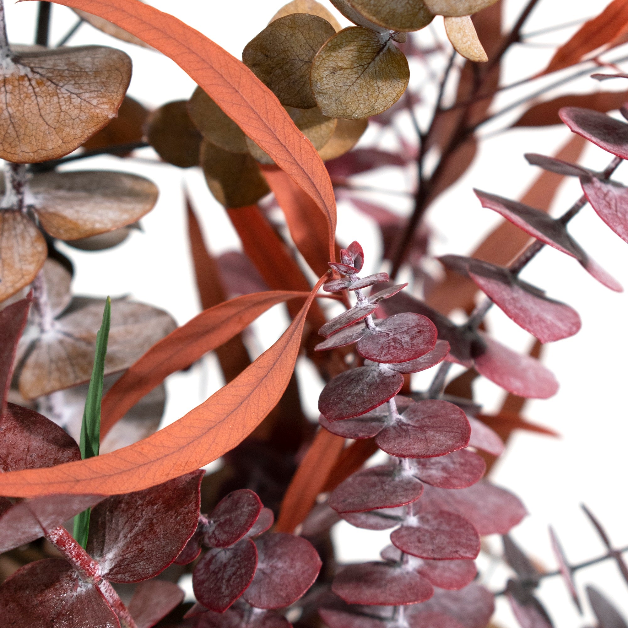 multi colored preserved eucalyptus bundle close up