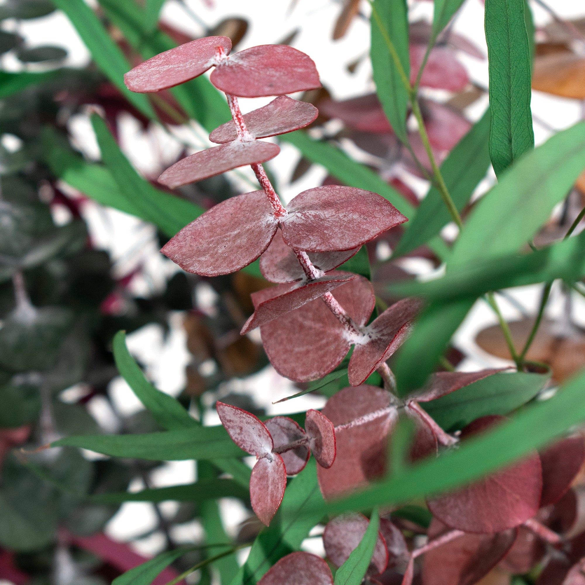 multi colored preserved eucalyptus bundle close up