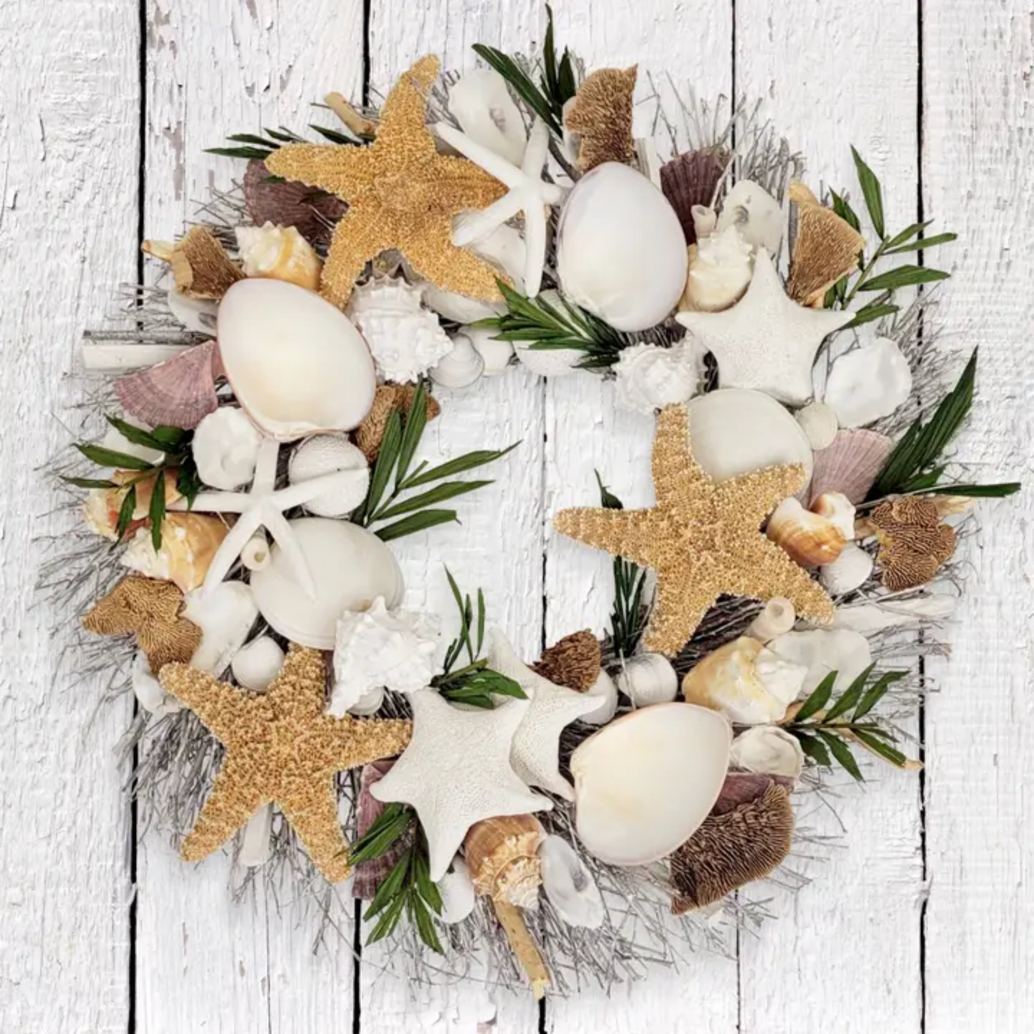 Palm Beach Seashell Coastal Wreath 19in