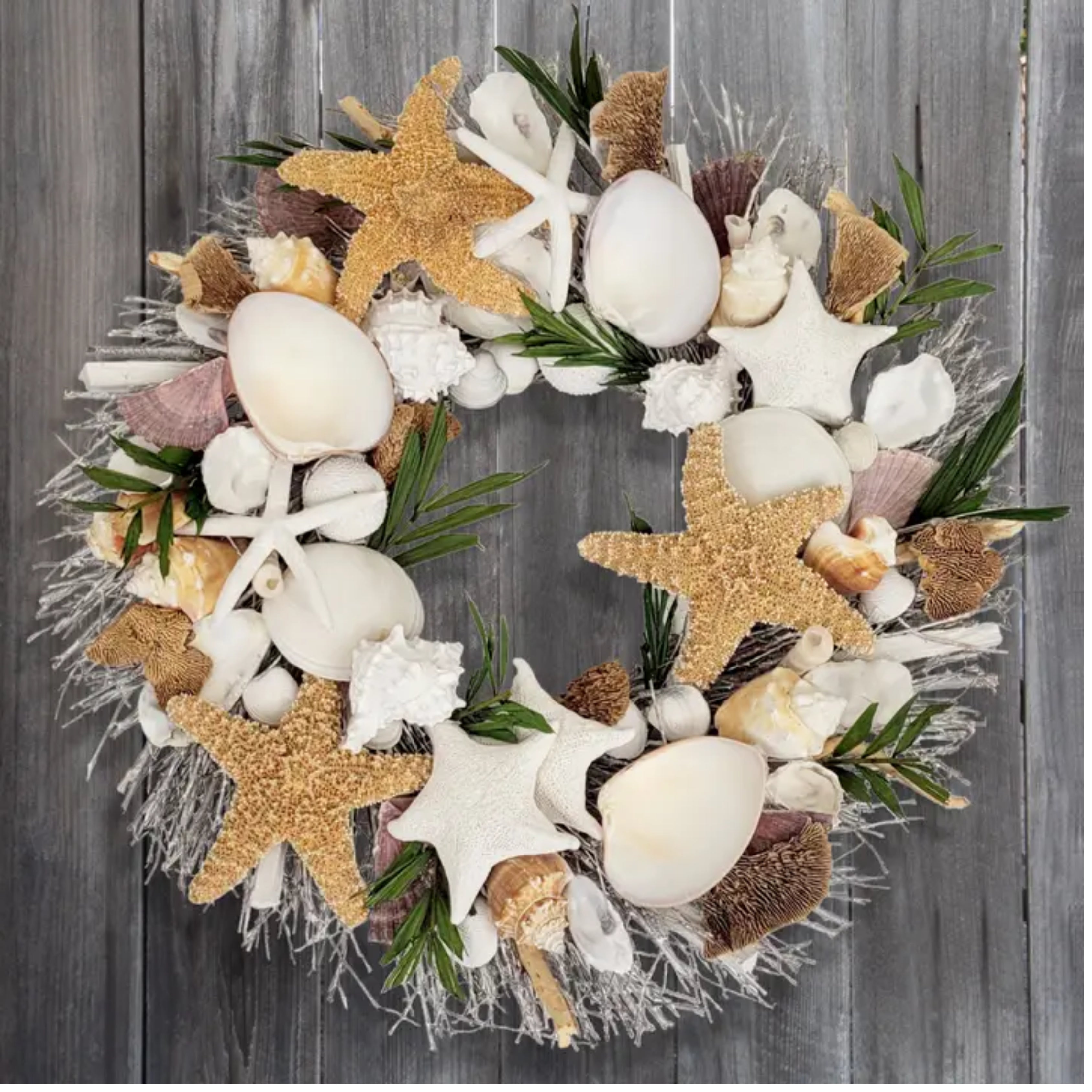 Palm Beach Seashell Coastal Wreath 19in