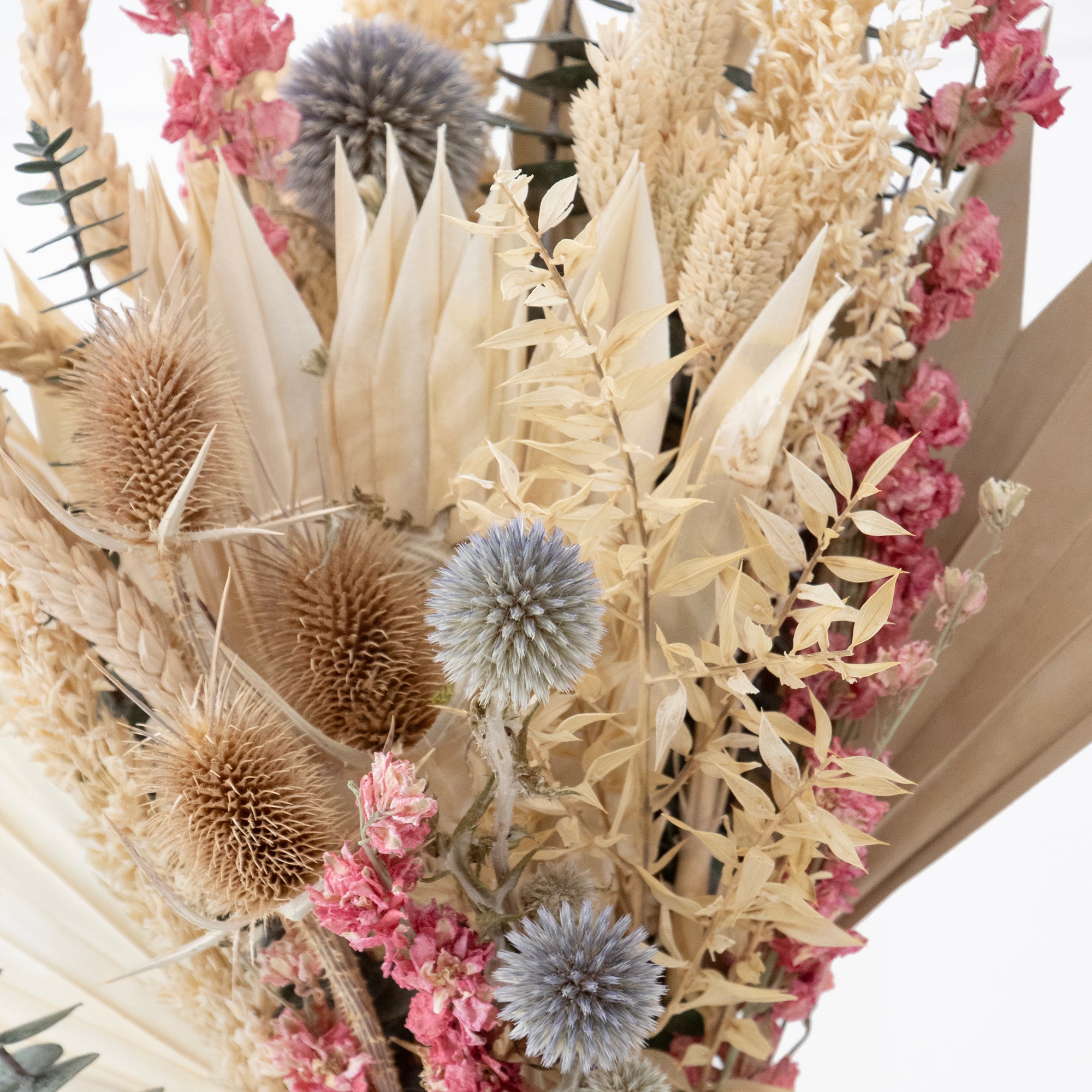 mixed white and pink dried floral bouquet against white background