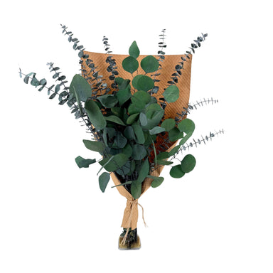 Preserved Silver Dollar & Baby Eucalyptus Bundle