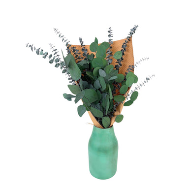 Preserved Silver Dollar & Baby Eucalyptus Bundle