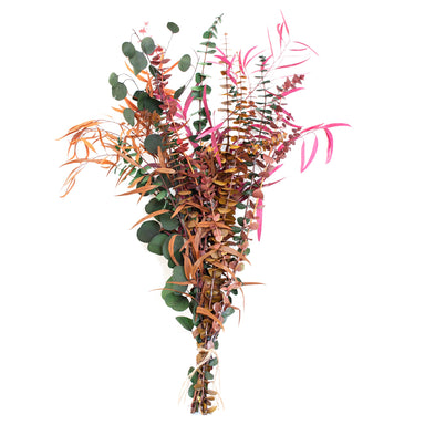 multi colored preserved eucalyptus bundle against white backdrop