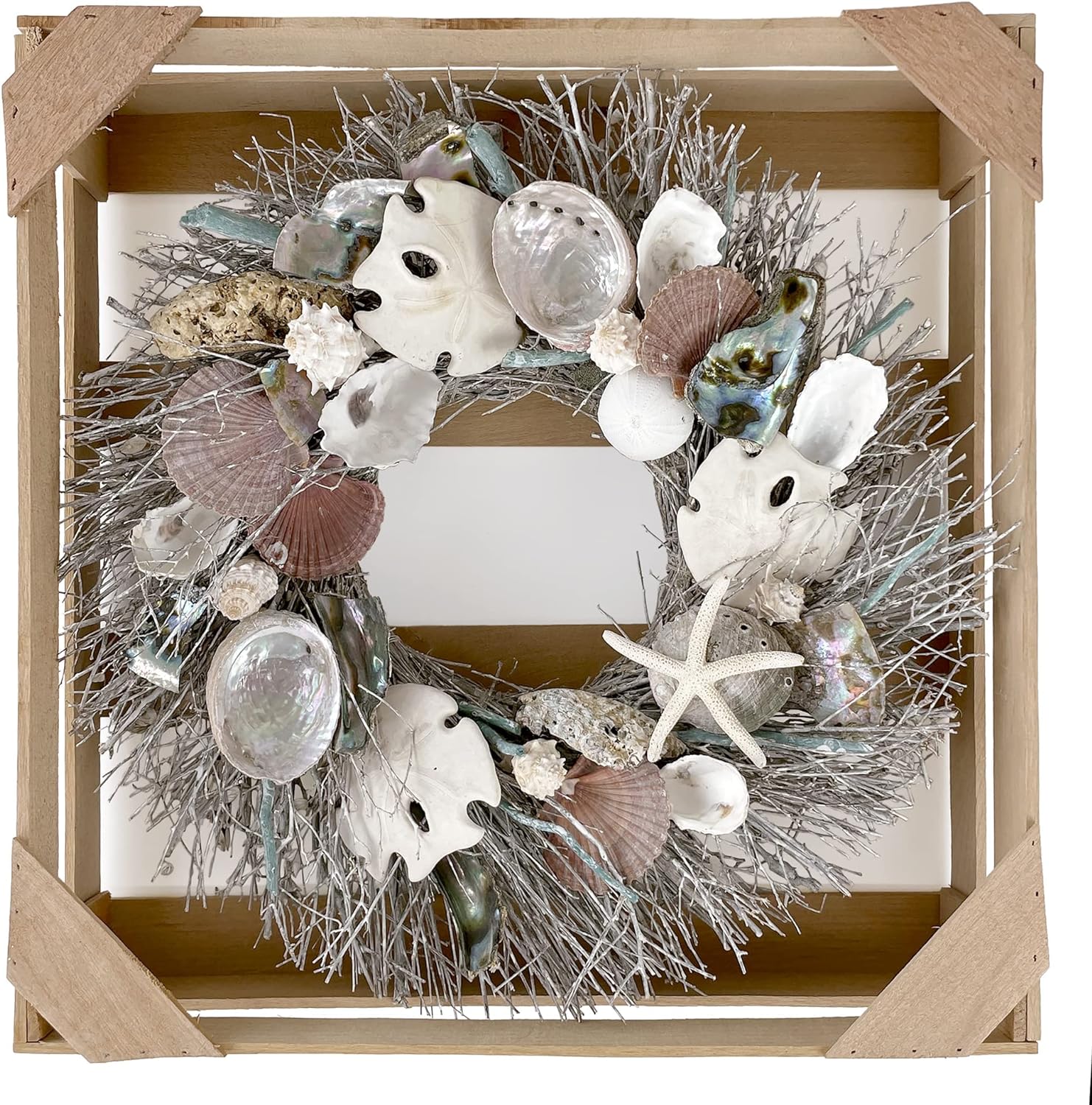 Sand Dollar & Abalone 19in Wreath