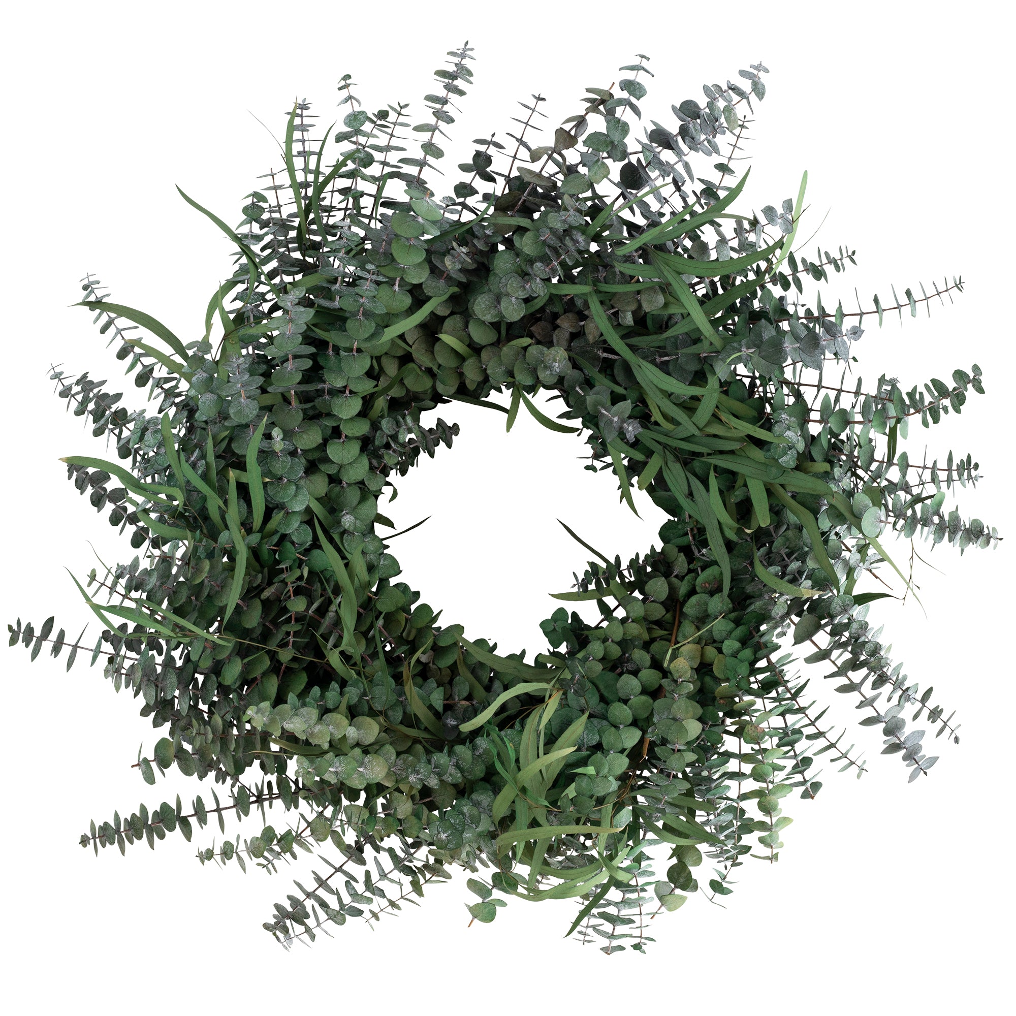 green preserved eucalyptus wreath against white background