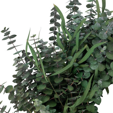 green preserved eucalyptus wreath against white background