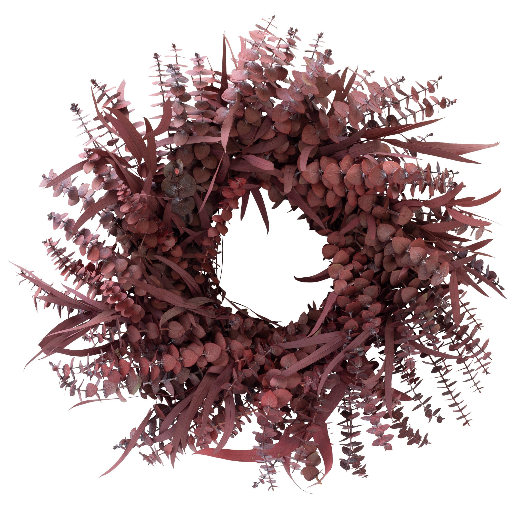 red preserved eucalyptus wreath against white background