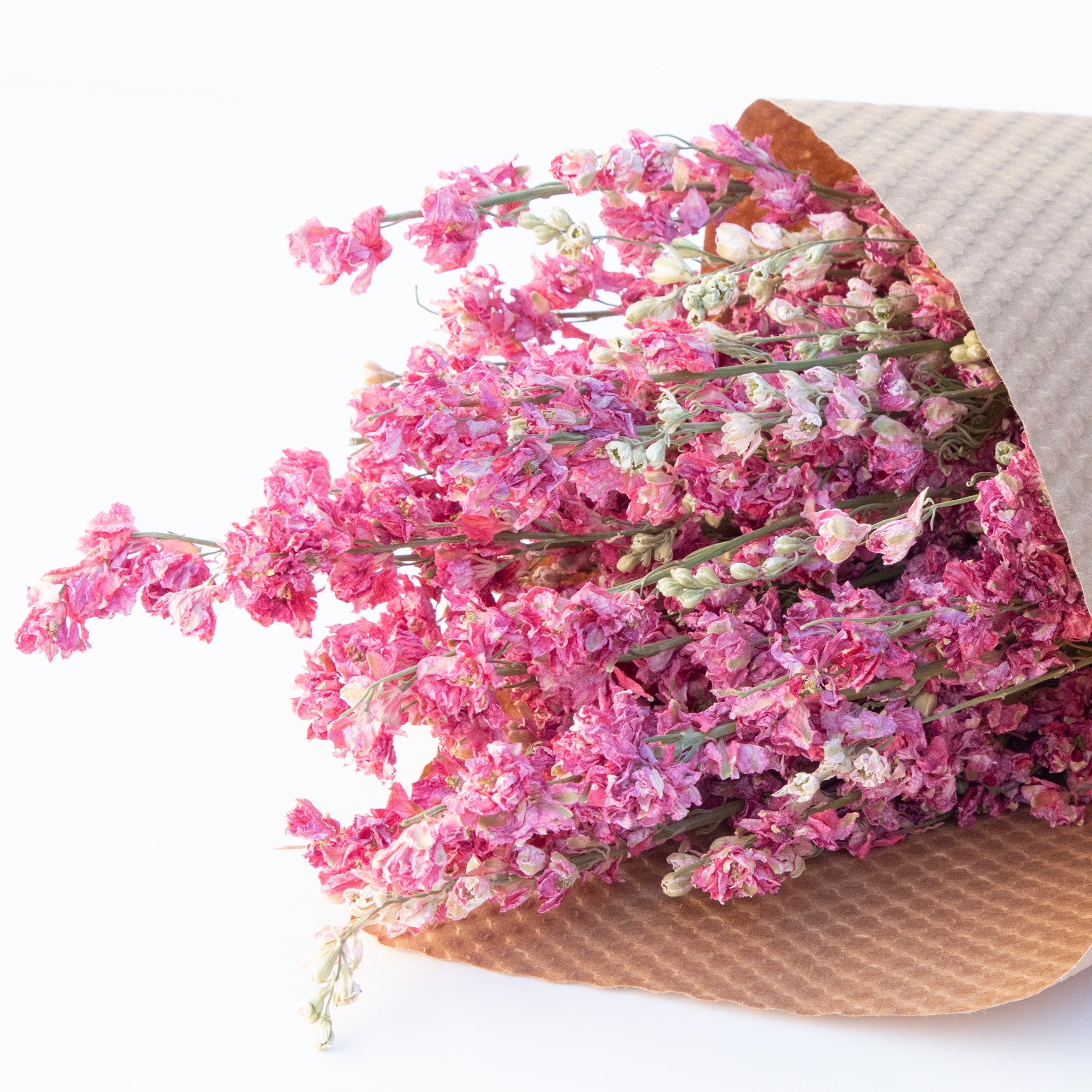 Dried Larkspur Bundles