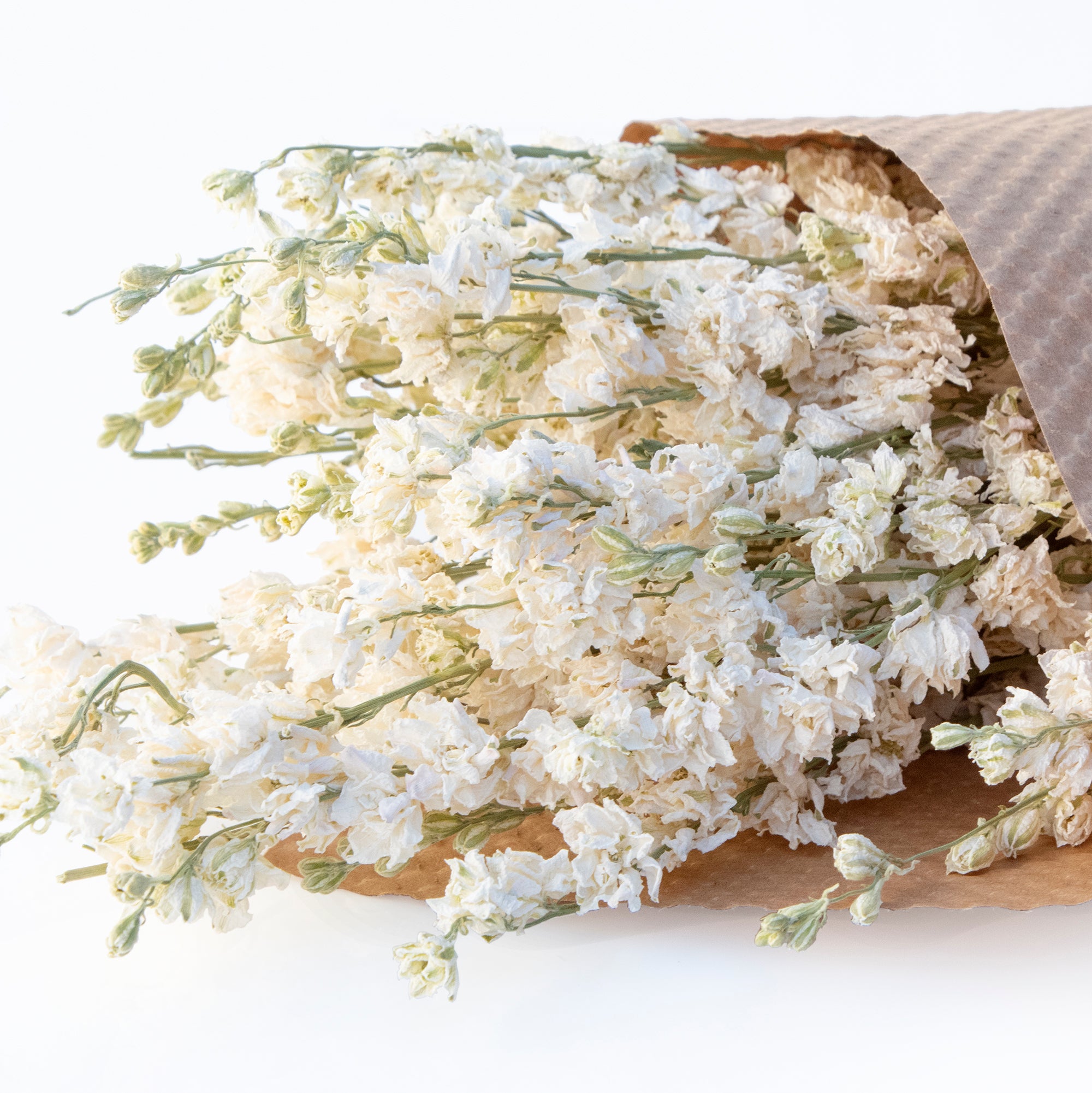 Dried Larkspur Bundles
