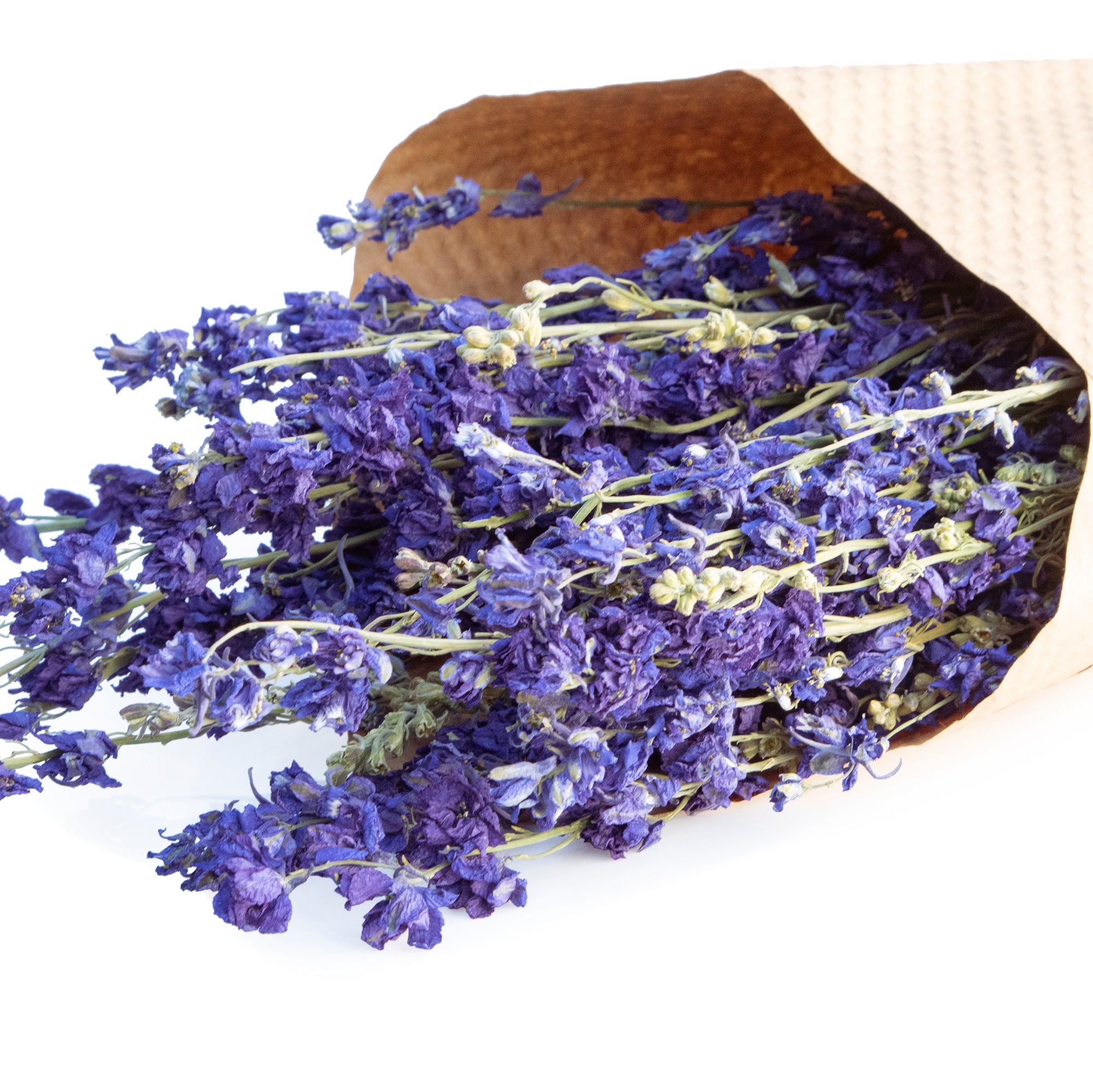 Dried Larkspur Bundles