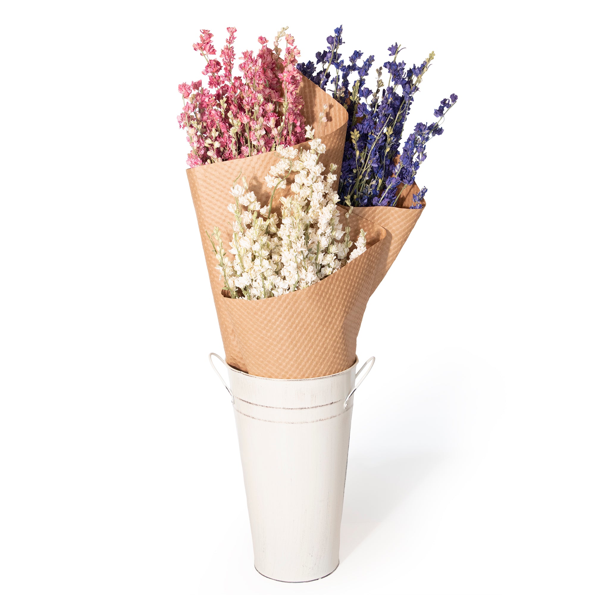 Dried Larkspur Bundles
