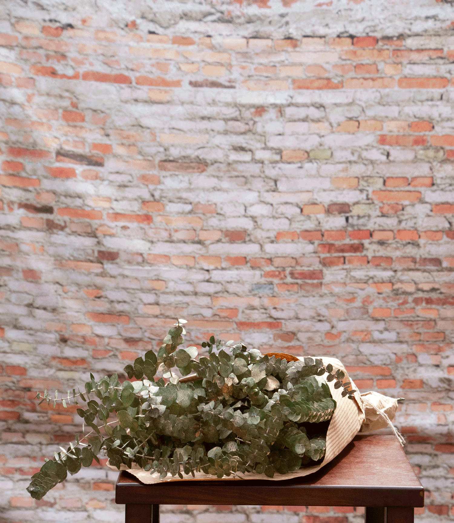 gold dusted eucalyptus against brick background getting unwrapped and put in a vase