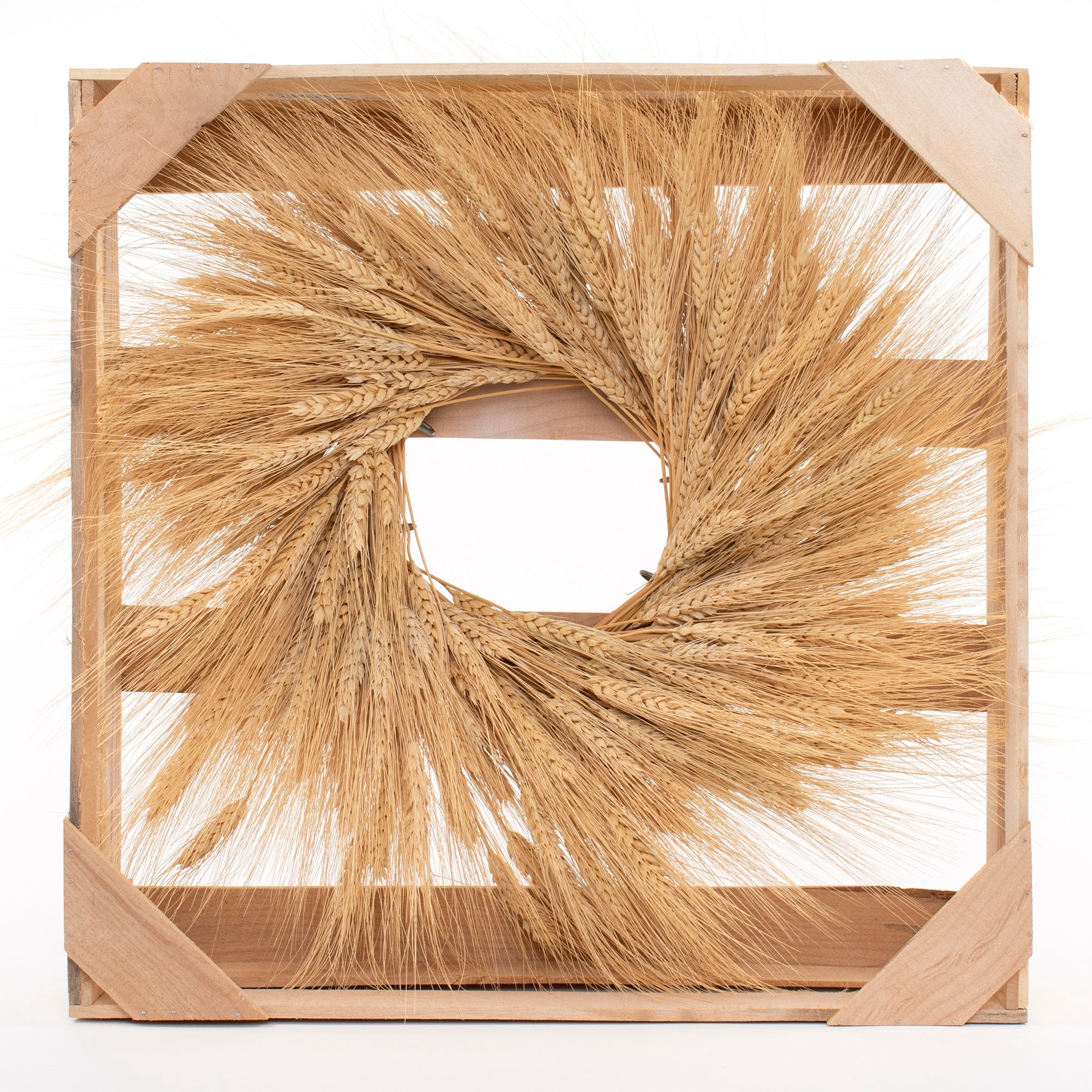 dried blonde wheat wreath against wood background in a crate