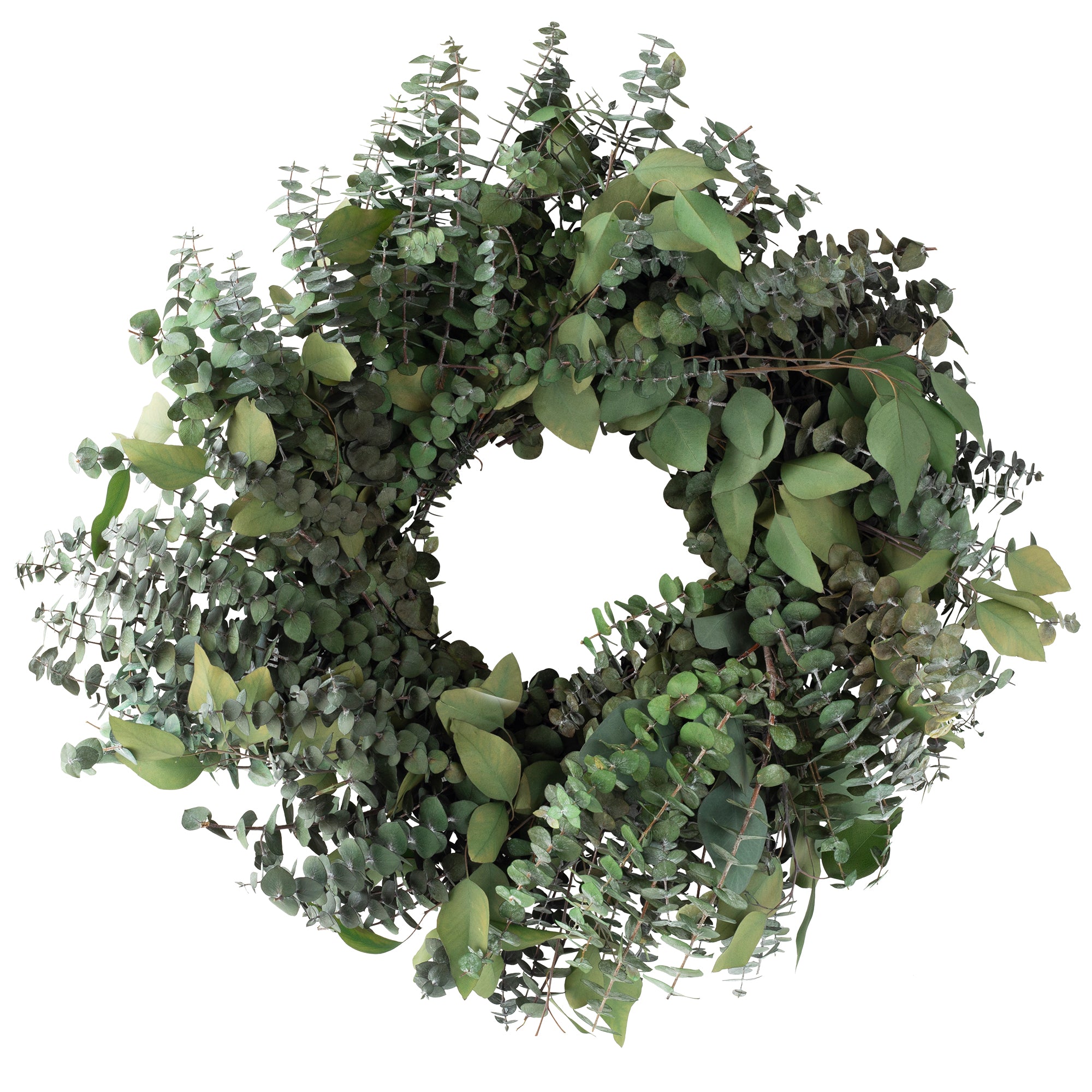 green preserved eucalyptus wreath against white background