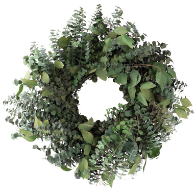 green preserved eucalyptus wreath against white background