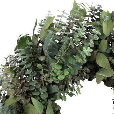 green preserved eucalyptus wreath against white background