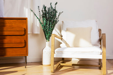green preserved eucalyptus bundle in a vase against sunlit room