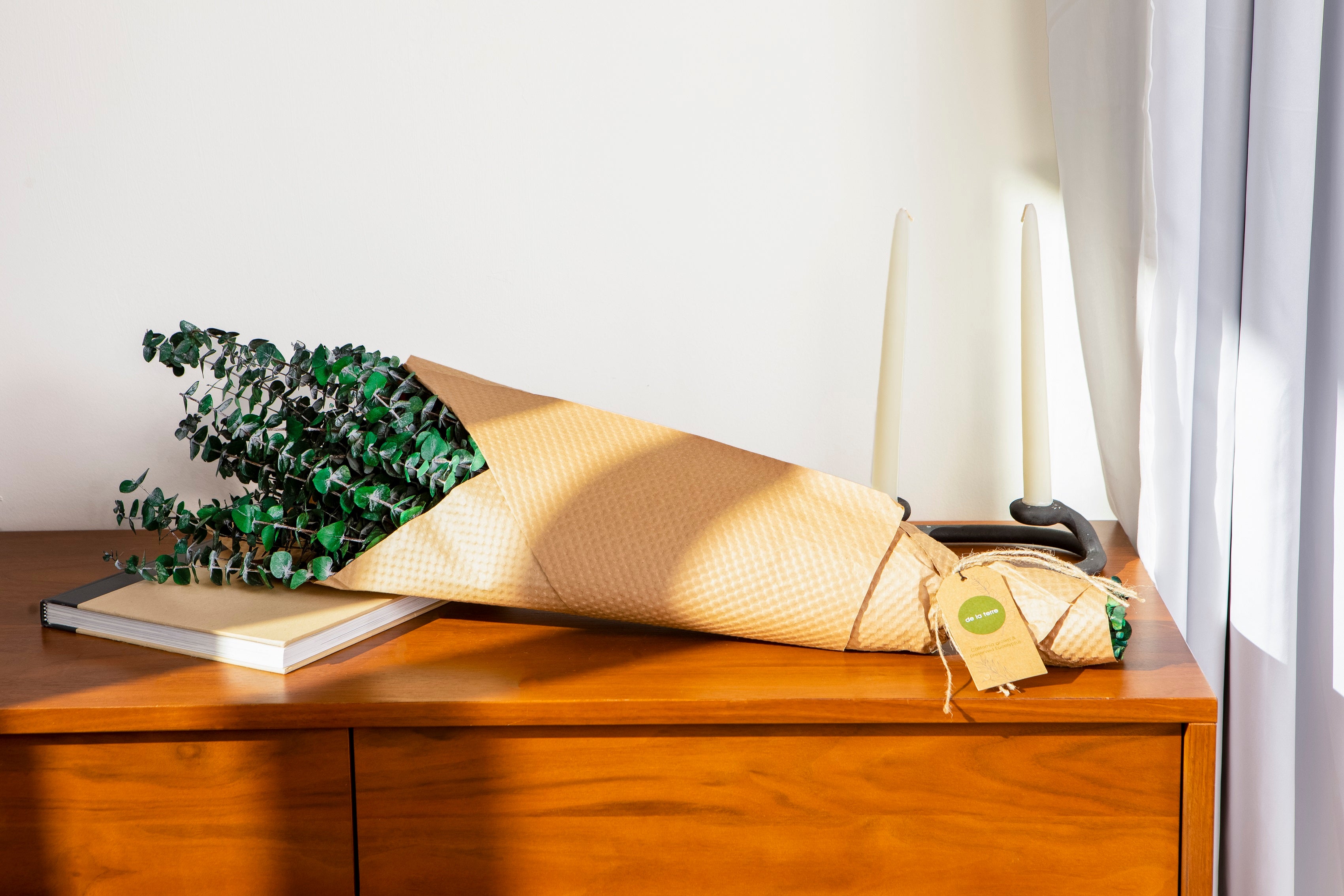 green preserved eucalyptus bundle on sunlit shelf