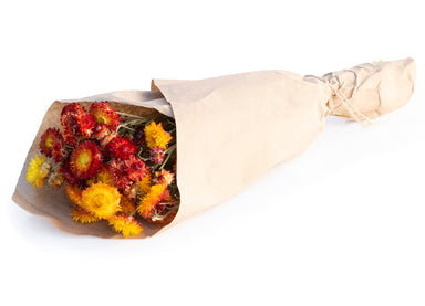 blonde orange strawflower bundle against white background