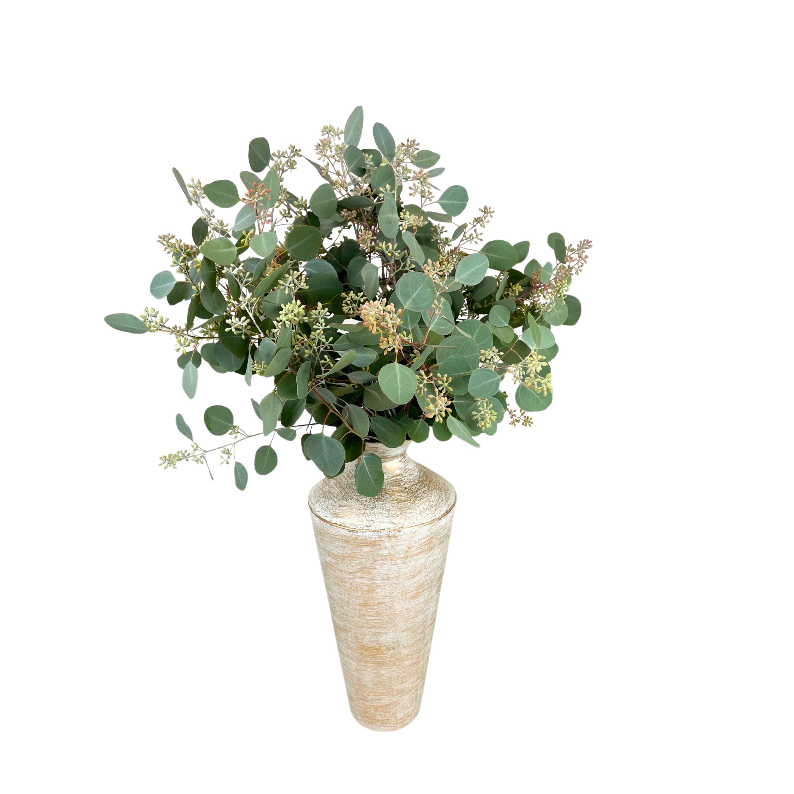 Fresh Seeded Eucalyptus 6 Bunches