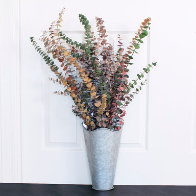 multi colored preserved eucalyptus bundle against white backdrop in a vase