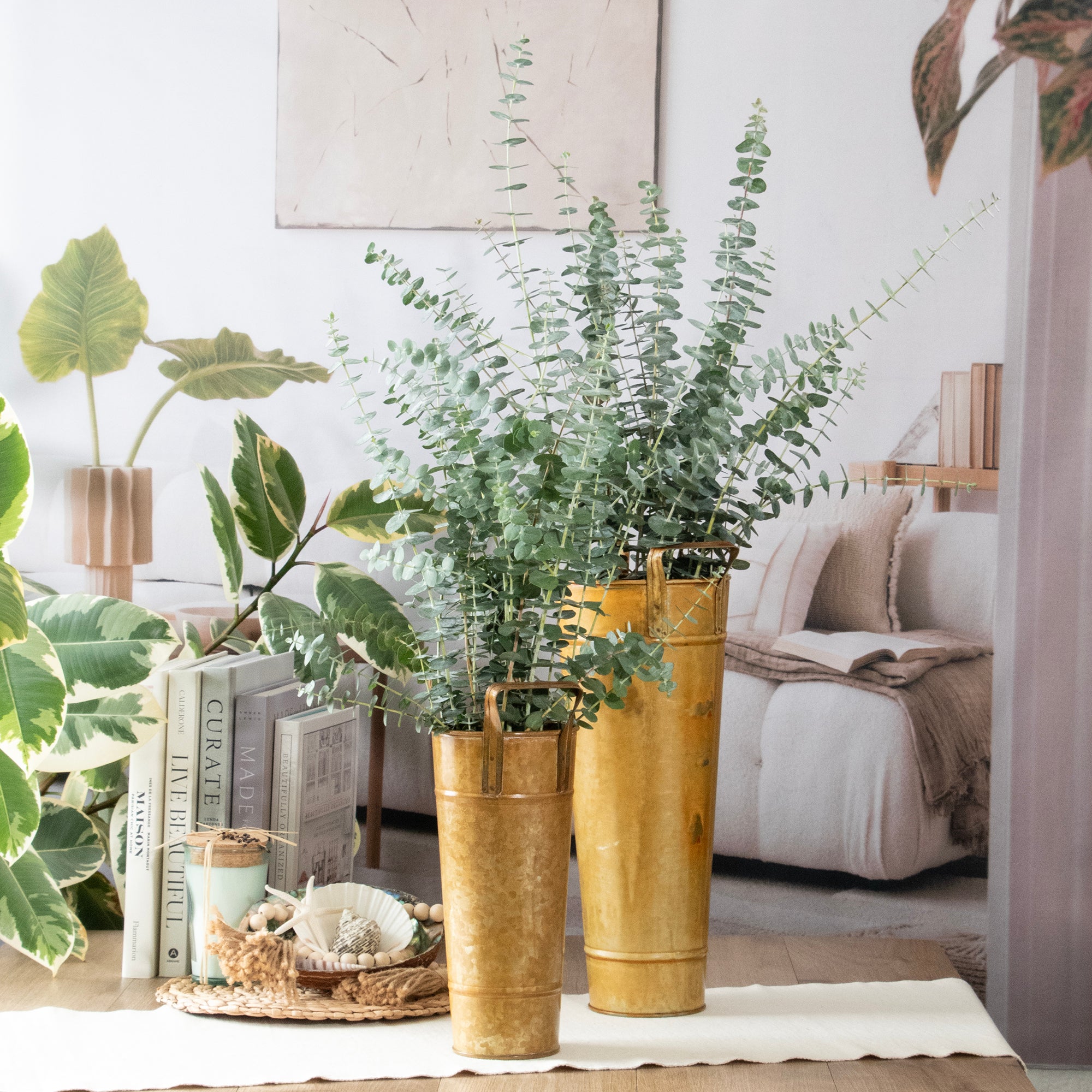 Decorative indoor plants in gold vases on a table with a cozy living room background.