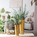Decorative indoor plants in gold vases on a table with a cozy living room background.