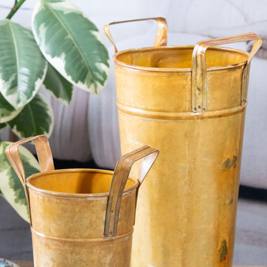 Two gold metal buckets with handles in front of a plant.