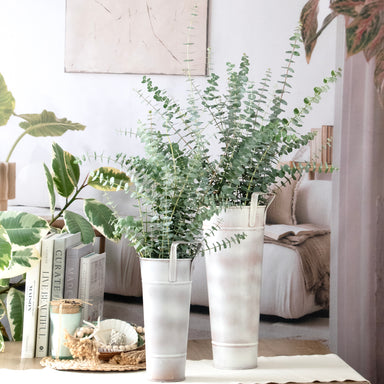 Decorative indoor plants in white vases on a table with a cozy living room background.
