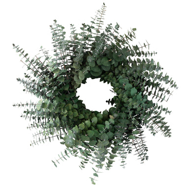 green preserved eucalyptus wreath against white background