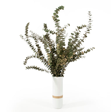 gold dusted eucalyptus against white background in a vase