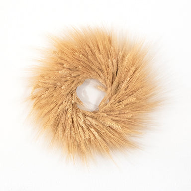 dried blonde wheat wreath against white background