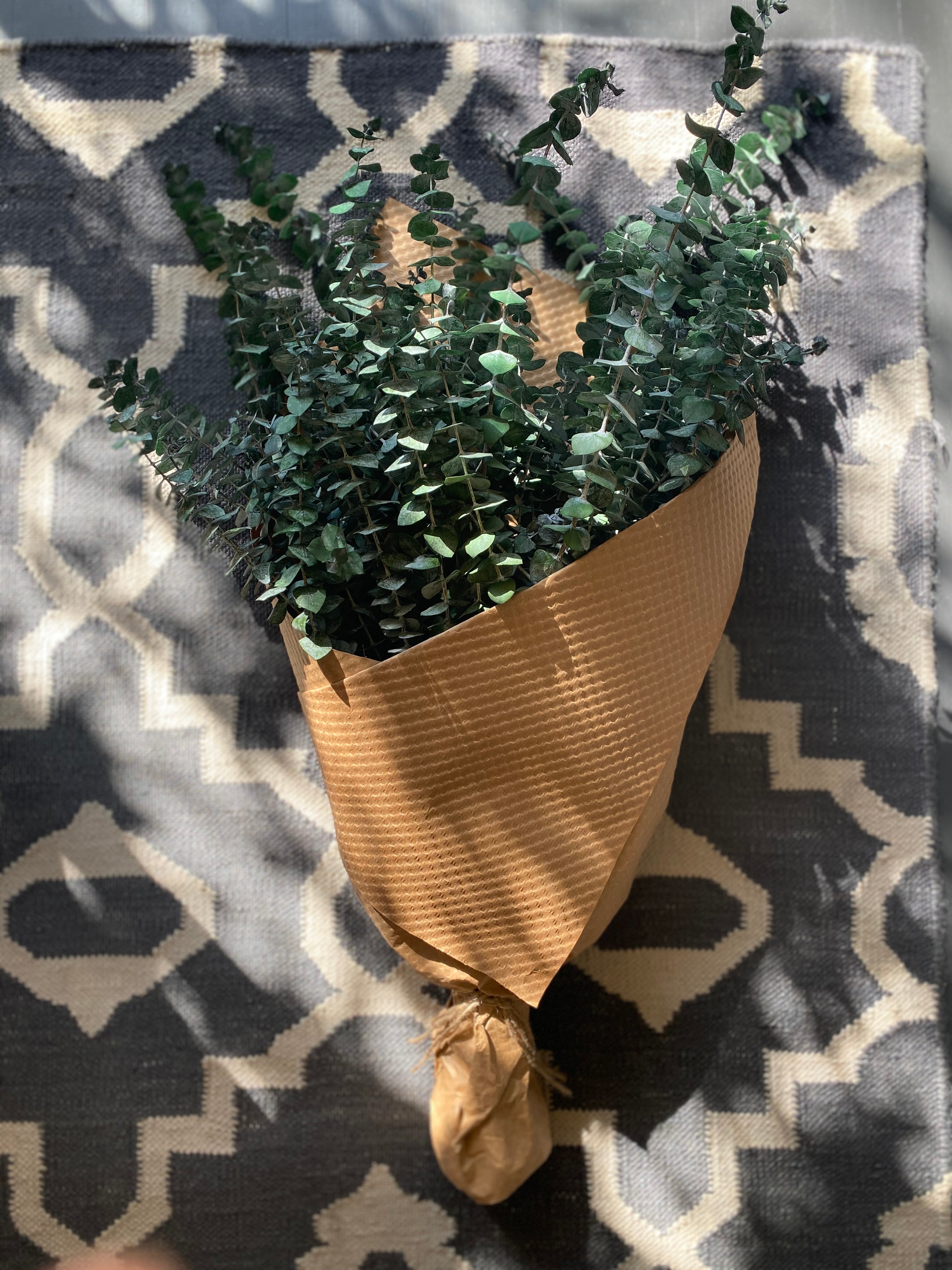 green preserved eucalyptus bundle against rug backdrop