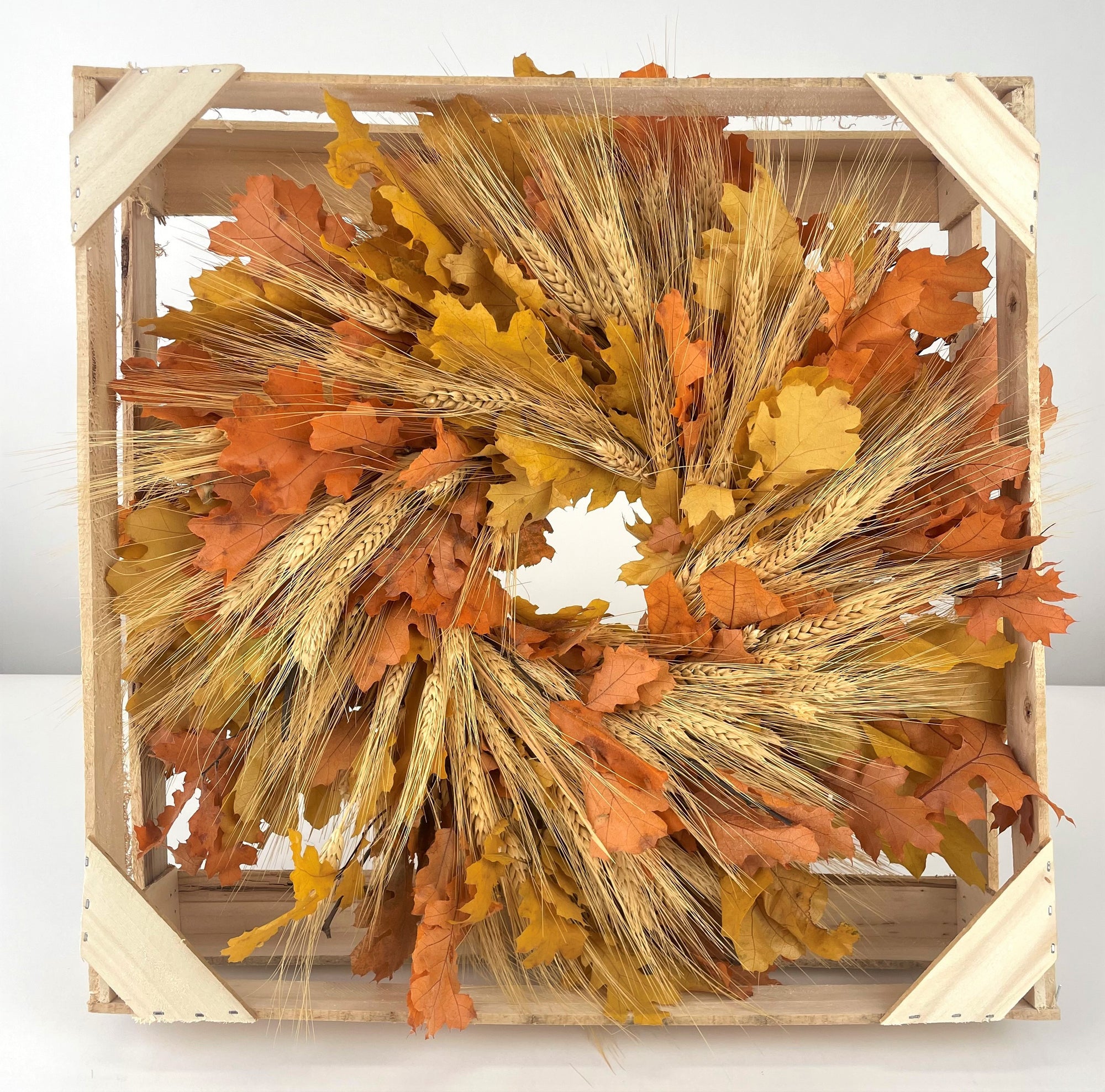 yellow and orange oak leaf mixed with blonde wheat wreath against white background